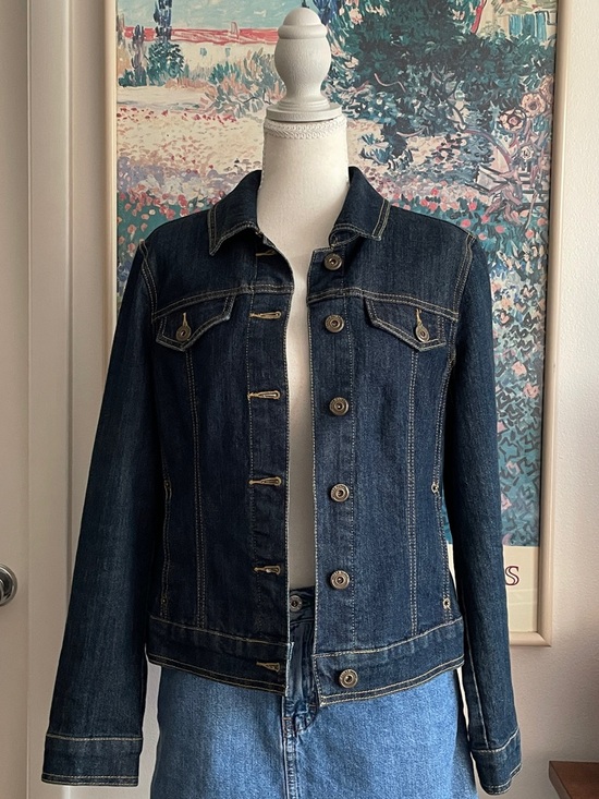 Baccini Jackets & Blazers - Vintage Y2K Dark Wash Denim Jean Jacket Medium Classic Indie Model Off Duty 90s